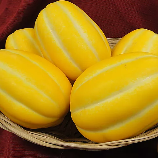 Yellow Melon Approx 10lb 韓國黃香瓜約10lb Fruits 水果 99 Ranch Market