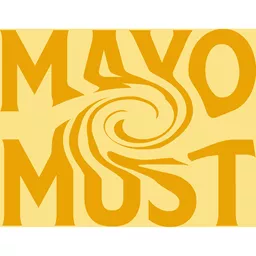 mayonnaise band logo