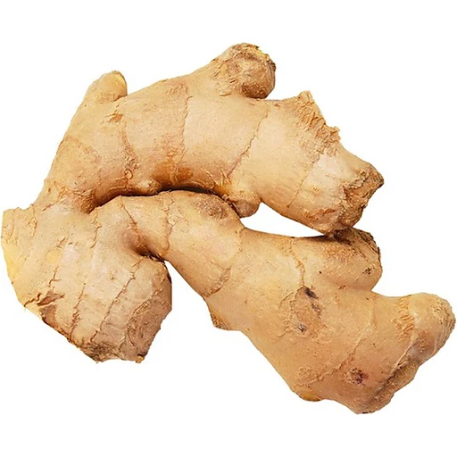 ginger rhizome clipart