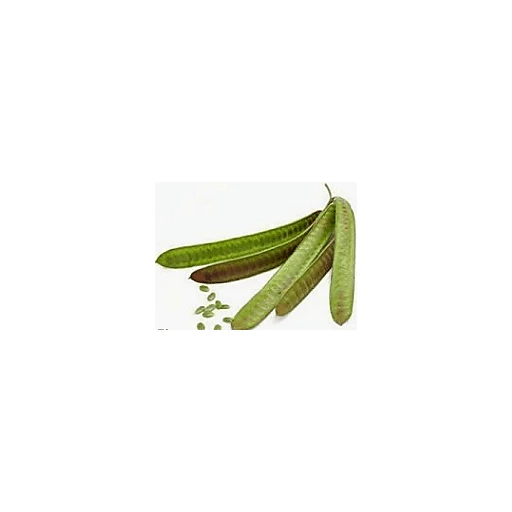 Guajes Verdes | Beans & Peas | Supermercados El Guero